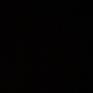 Meet your Posher, Joey